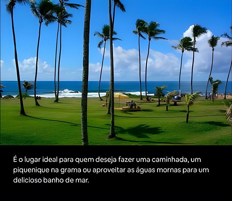 The Best Beach view of Salvador